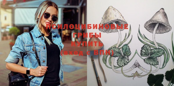 спайс Нея