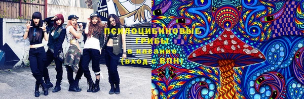 спайс Нея