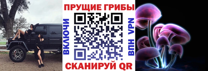 Галлюциногенные грибы мицелий  закладки  mega tor  Трубчевск 